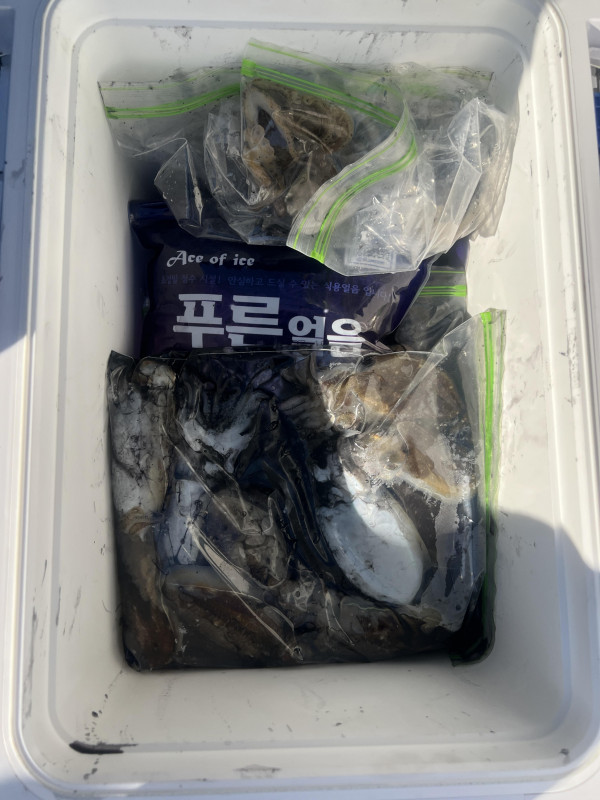 KakaoTalk_20261008_181301740_07.jpg