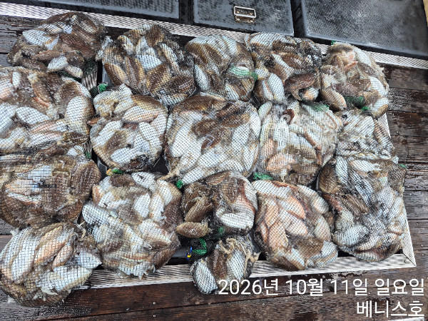 KakaoTalk_20261011_202403965_03.jpg