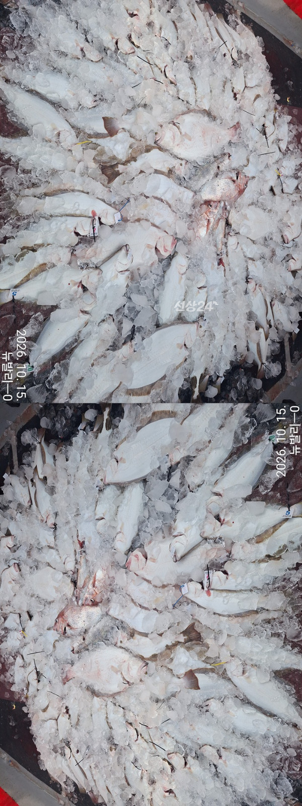 KakaoTalk_20261015_165306382 - 복사본-vert55555555555555.jpg