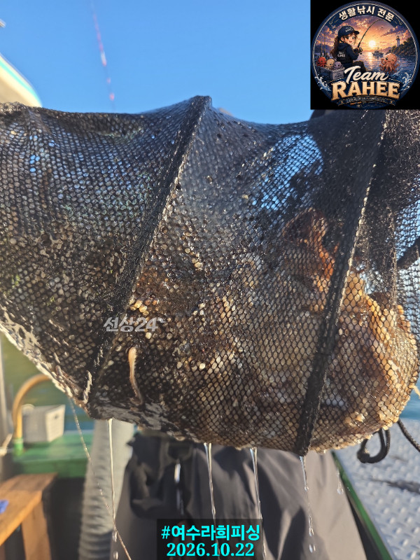 1000023909.jpg