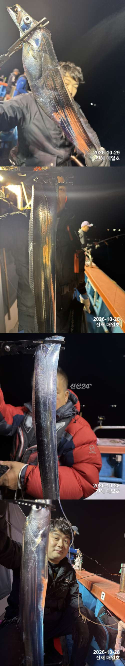 갈치1.jpg
