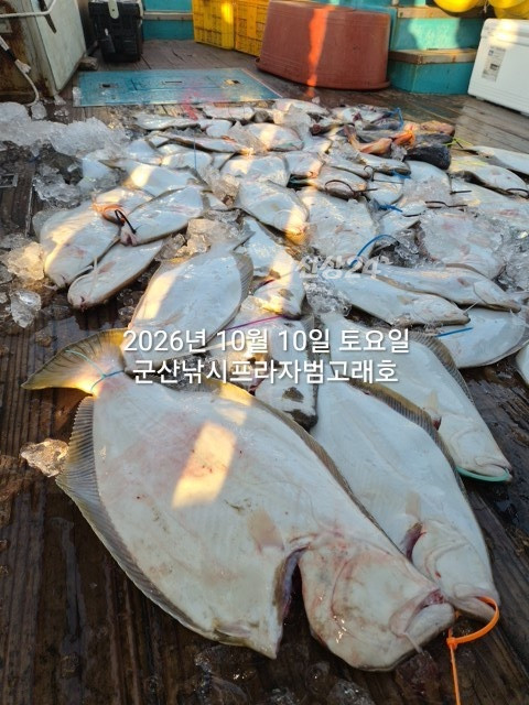 KakaoTalk_20261010_171909981_12.jpg