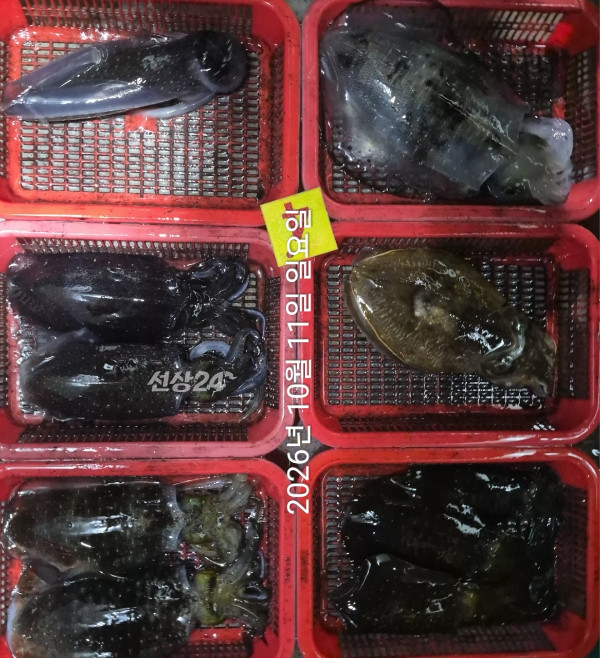 89546.jpg