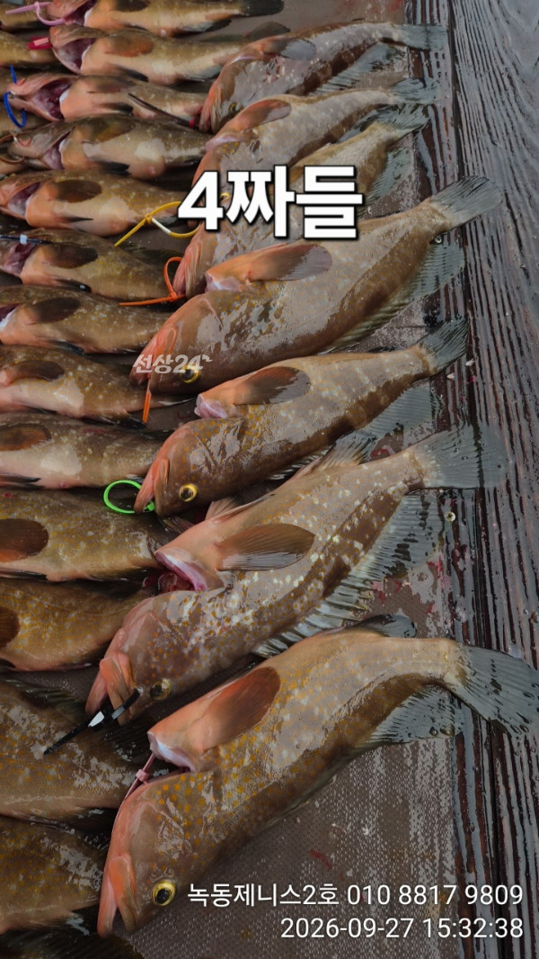 51035.jpg