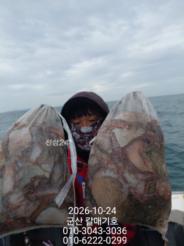 12746.jpg
