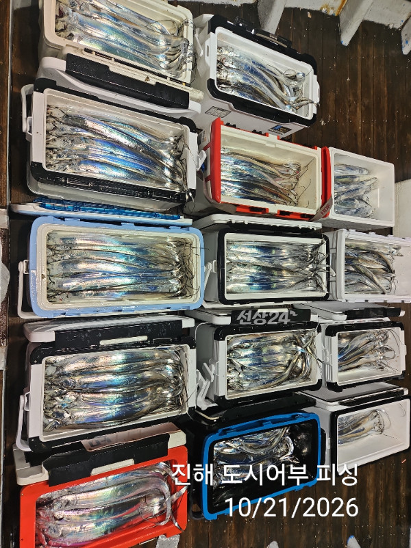 KakaoTalk_20261021_040550071_13.jpg