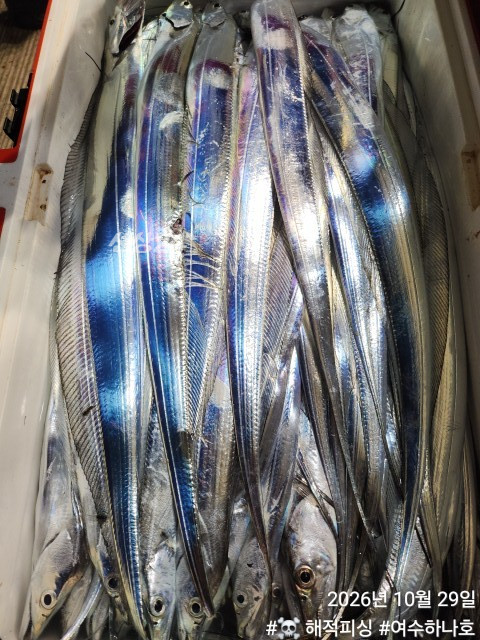 KakaoTalk_20261029_083303289_12.jpg