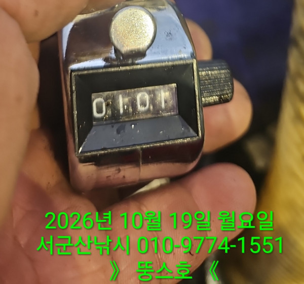 군산 선상낚시, 바다낚시 출조 전문 ☆서군산낚시☆_사진_20261019_7.jpg