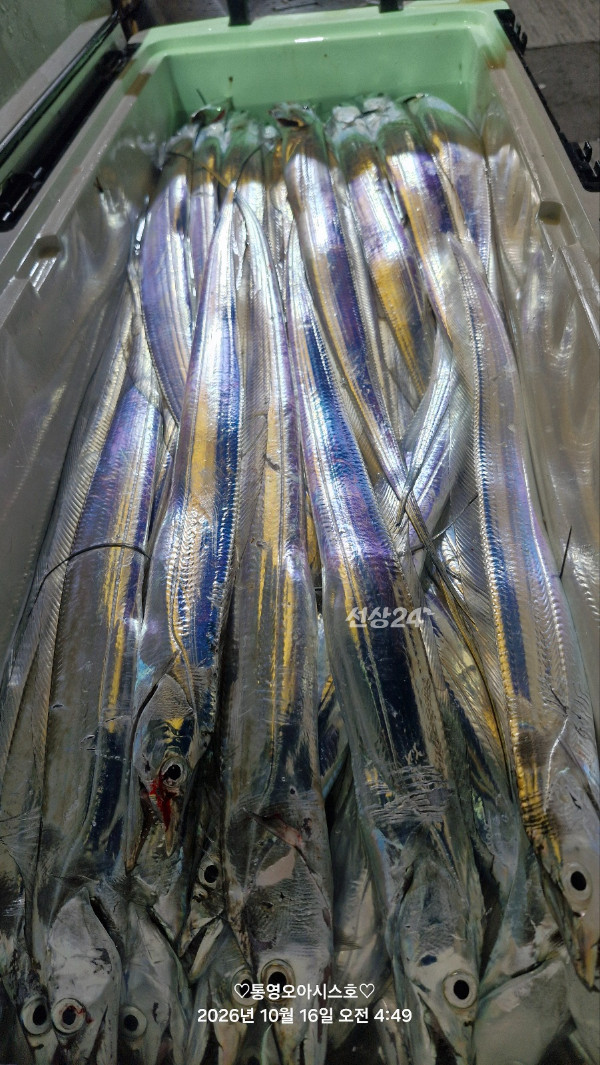 84449.jpg