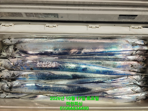 KakaoTalk_20261017_104007749.jpg