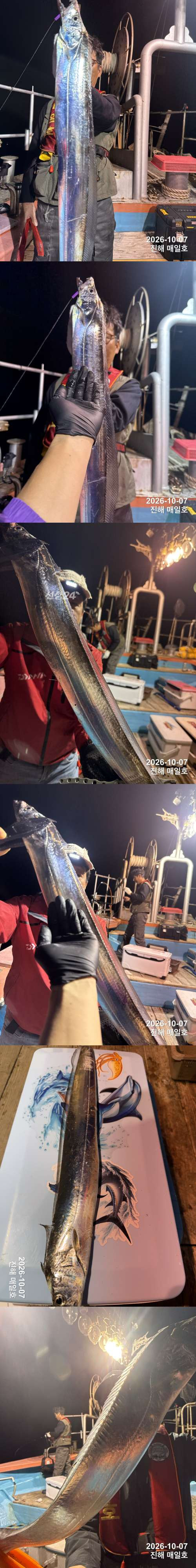 갈치1.jpg