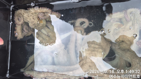 1792310285599-16.jpg
