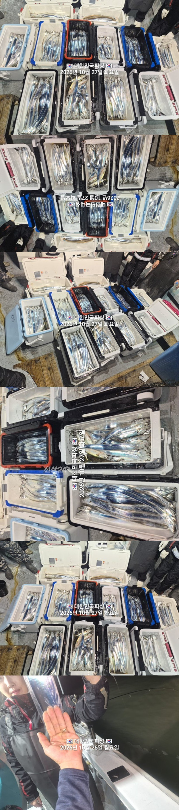 갈치3.jpg