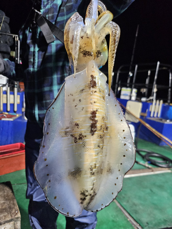 KakaoTalk_20261016_001517748_02.jpg