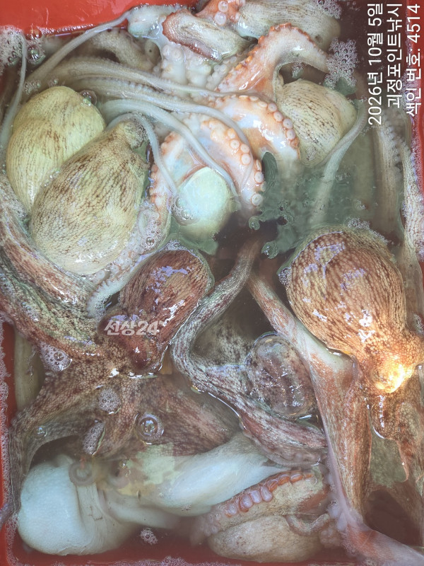KakaoTalk_20261005_172649510_13.jpg