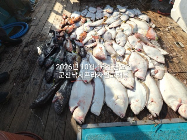 KakaoTalk_20261016_163731307_07.jpg