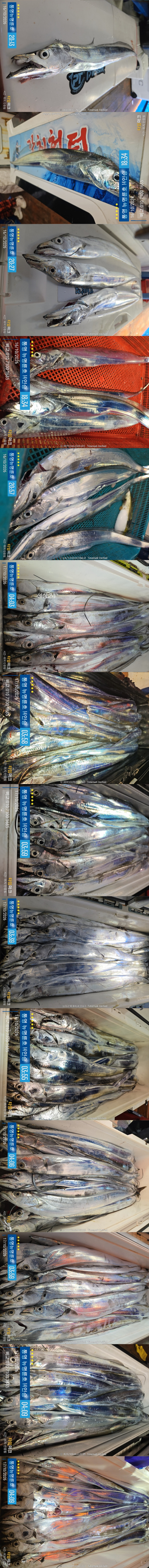 10-17갈치2.jpg