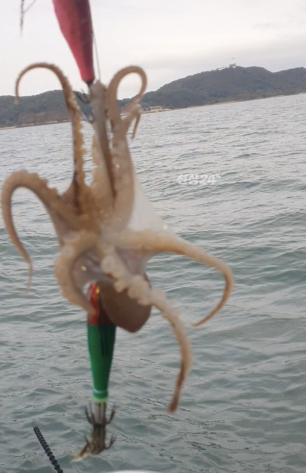 Screenshot_20261016_120231_Video Player.jpg