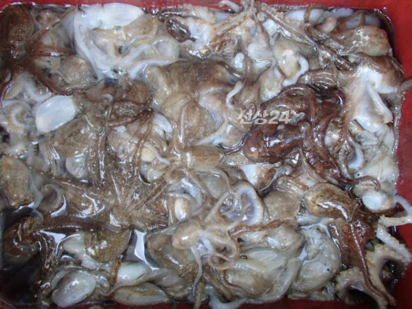111.JPG