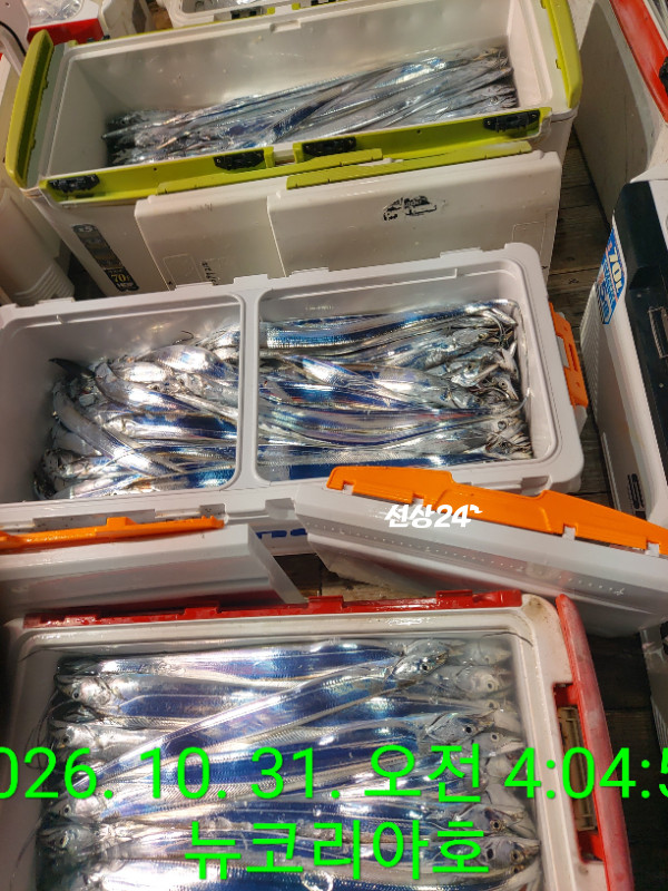 1000104407.jpg