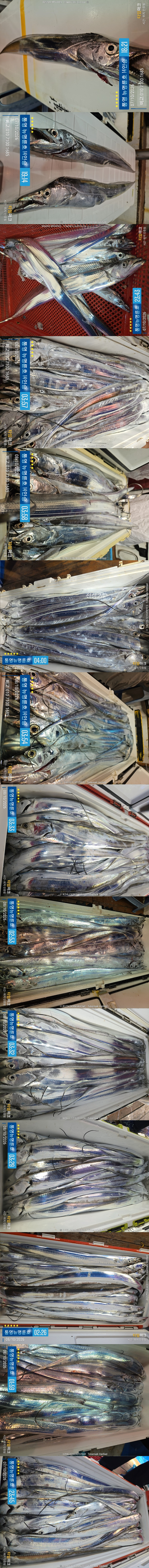 10-8갈치2.jpg