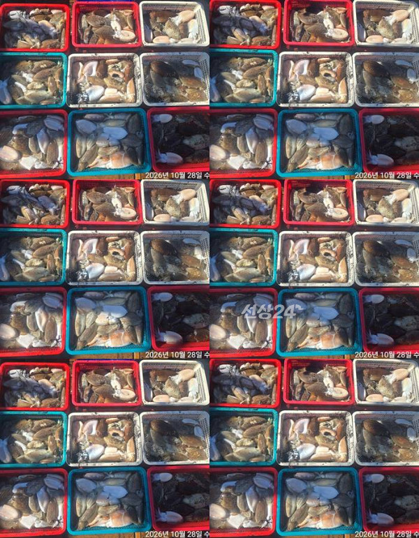 1793165156314-tile.jpg
