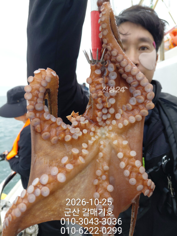 13022.jpg