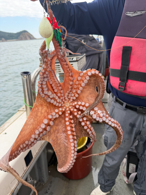 KakaoTalk_20261006_094539069.jpg