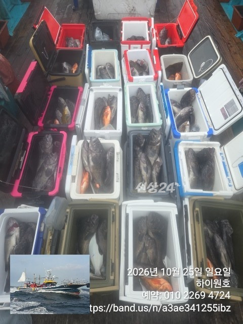 KakaoTalk_20261025_155310207.jpg
