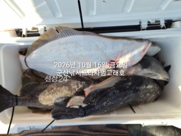 KakaoTalk_20261016_163731307.jpg