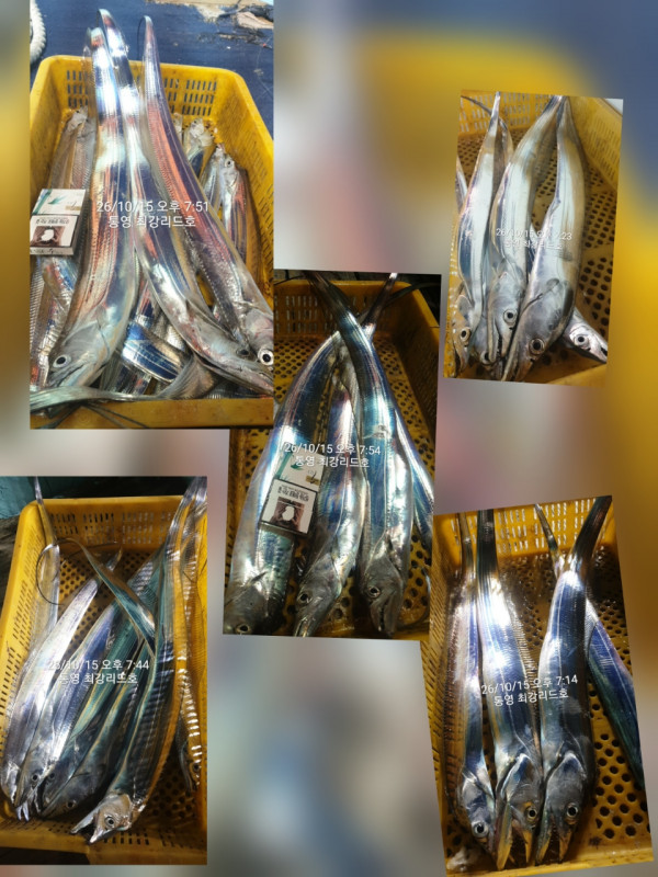 KakaoTalk_20261016_114521200_07.jpg