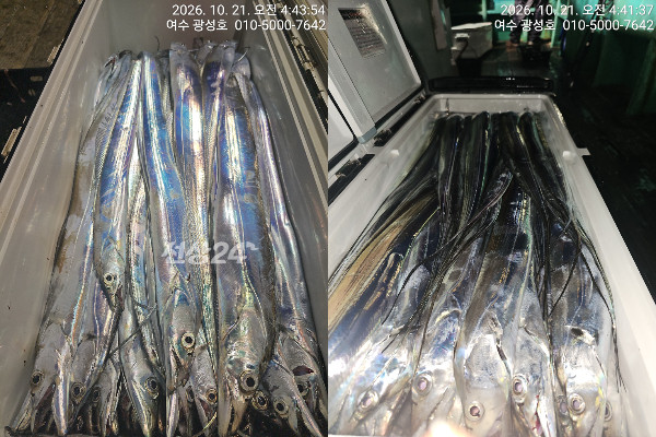 이미지.jpeg
