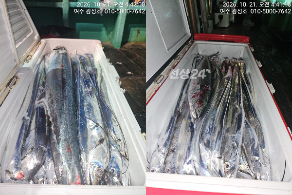 이미지.jpeg
