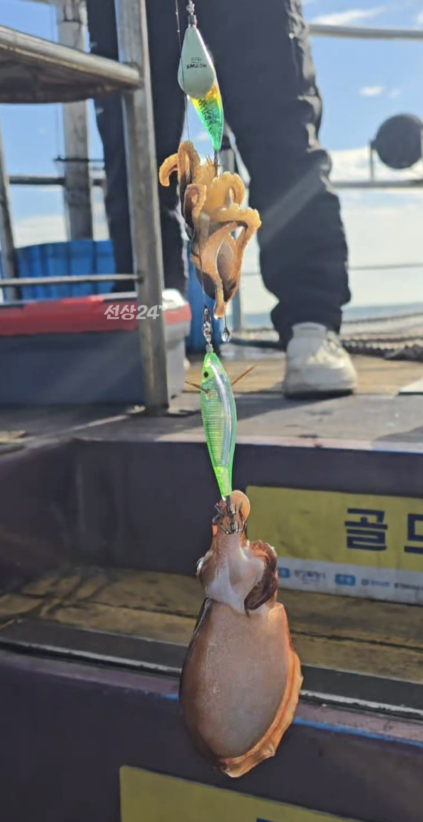 Screenshot_20261025_103134_Video Player.jpg