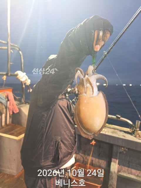 KakaoTalk_20261024_160721941_14.jpg