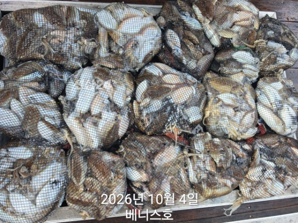 KakaoTalk_20261004_160044134_04.jpg