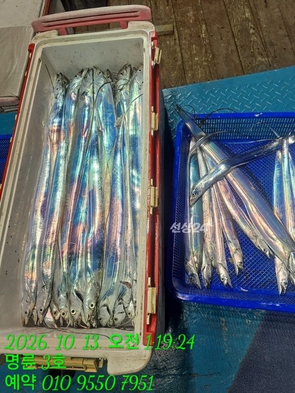 KakaoTalk_20261013_064242630_08.jpg