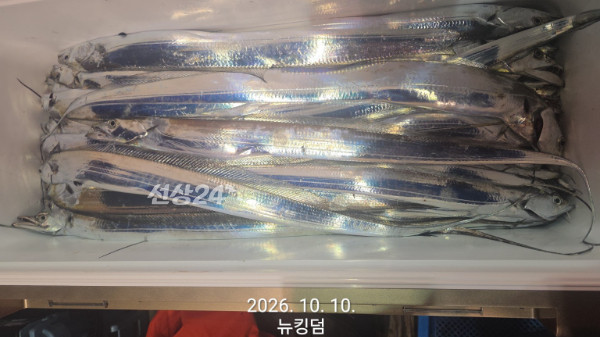 1791614216620.jpg