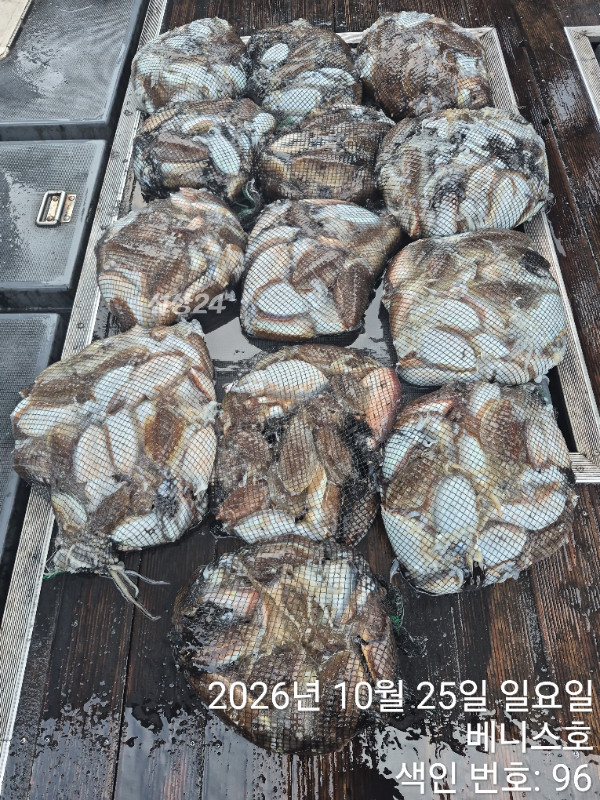 KakaoTalk_20261025_194645285_02.jpg