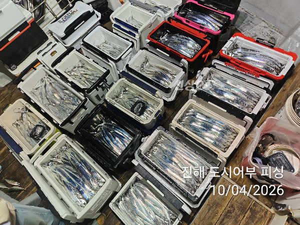 KakaoTalk_20261004_050453266_13.jpg