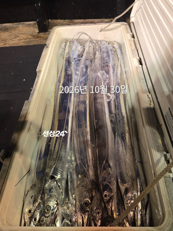 2AEEA4DF-E316-46B6-916F-B0432CC9E710.jpeg
