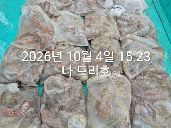 KakaoTalk_20261004_160131464_03.jpg