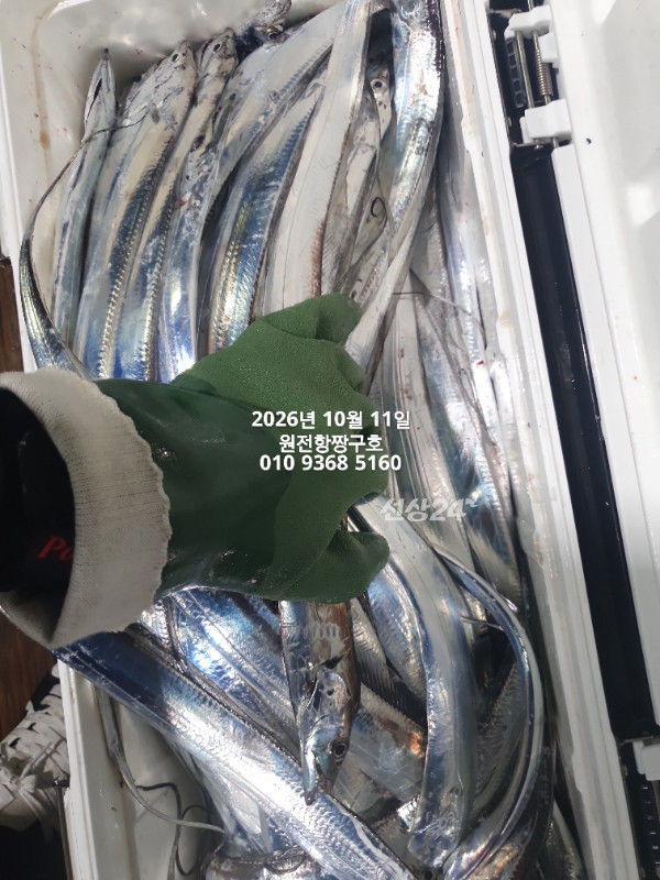KakaoTalk_20261011_043835408_04.jpg
