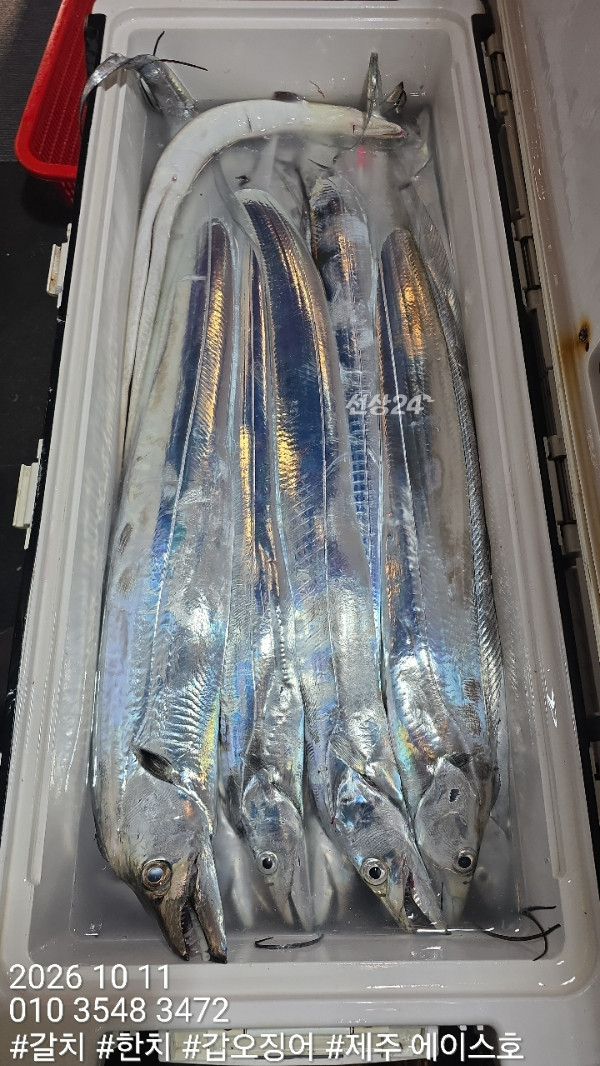 KakaoTalk_20261011_124122422_09.jpg