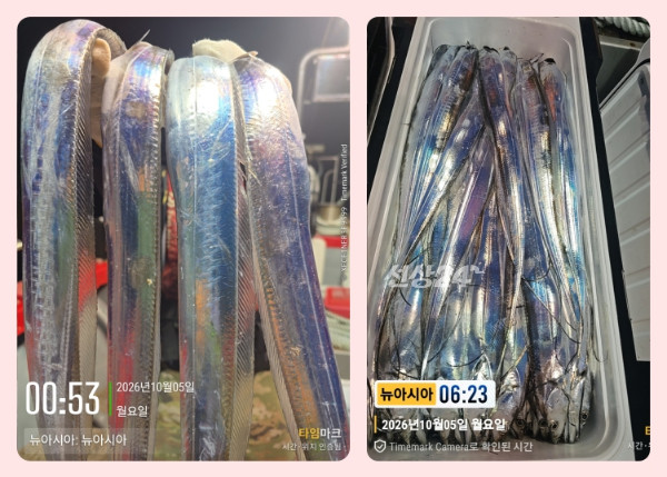 KakaoTalk_20261005_094827875_04-side.jpg