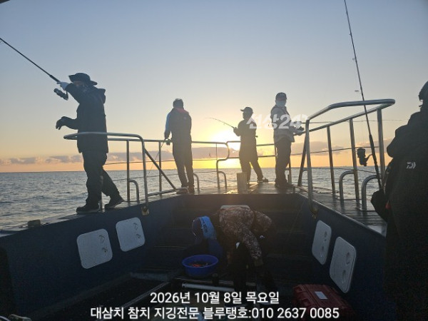 20261008_064503.jpg