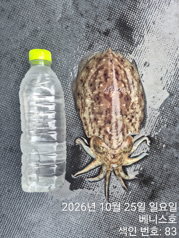 KakaoTalk_20261025_194645285_13.jpg