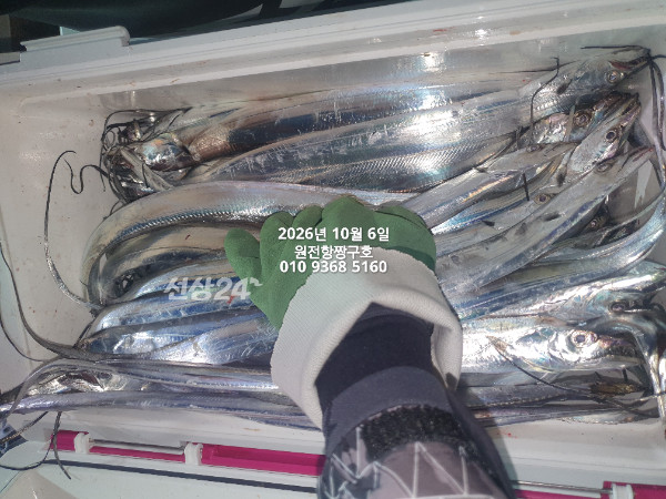 KakaoTalk_20261006_045621155_04.jpg