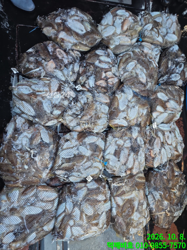 TimePhoto_20261008_154410.jpg