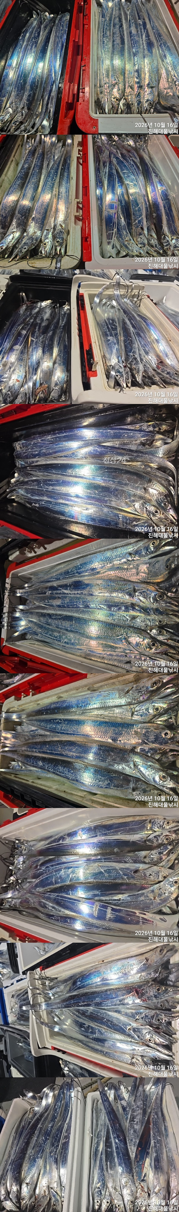 칼치4.jpg